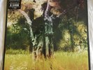 Animal Collective Meeting Of The Waters RSD 2017 Vinyl