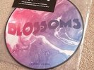 BLOSSOMS live festival no. 6 RSD picture disc