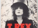 T. Rex Vinyl LP Album 'The Slider'
