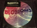 Record Store Day (RSD) 2017 Blossoms Live Festival No 6 10