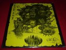 PURE JOY 33RPM LP CARNIVORE ROCK POP PUNK FLOP SEALED RAT POPLLAMA  RECORDS