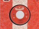 BEATLES My Bonnie ORIG 1ED German Polydor 24673 TWIST VERSION first ever record