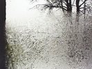 Bon Iver From Emma Forever Ago 12