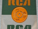 RARE GLAM ROCK PROTO-PUNK 45 The Jook Oo Rudi/ On You NICE COPY Trevor White