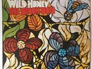 THE BEACH BOYS - WILD HONEY LP Album ST 2859 VG+ / VG+