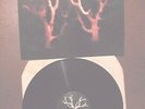 SOL INVICTUS Trees in winter-LP-(Wakeford/Death in June/Current 93)-neofolk dark