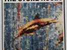 The Stone Roses - Fools Gold 9.53 ORE T 13 1992 12