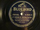 78:BLUEBIRD 8665-CATS & THE FIDDLE - IF I DREAM OF YOU /I'M GONNA PULL MY HAIR