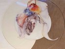 FISH - A Gentleman's Excuse Me  7