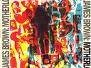 JAMES BROWN - MOTHERLODE    - US 1988 - NM