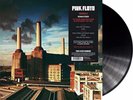 Pink Floyd 