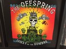 The Offspring - Ixnay on the Hombre limited edition GREEN VINYL w/ MISPRINT 2015