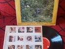 ROBERTO CARLOS **Un Gato En La Oscuridad** USA 1972 LP IN SPANISH *CAYTRONICS*