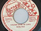 BOBBY SOUL - GOLDEN BOOK OF LOVE - DANGER ZONE ( RARE ROOTS 7 )