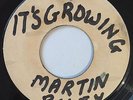 BUSTY BROWN & JIMMY RILEY - IT'S GROWING - BLANK ( 1969 SKINHEAD 7 )