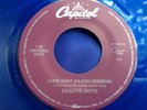 Rare Blue Vinyl Hip Hop 45 : Beastie Boys   Sure Shot   Capitol 18125   Jukebox