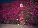 FEIST-PLEASURE  (US IMPORT)  VINYL LP NEW