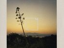 JOAN BIBILONI El Sur LP NEW VINYL Music From Memory reissue Blau