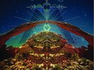 Chris Robinson Brotherhood - Big Moon Ritual 2 x LP Black Crowes CRB SEALED NEW