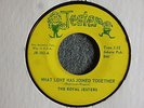 NORTHERN GROUP SOUL 45 Royal Jesters What Love Has Joined Jester 102 HEAR MP3