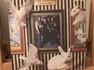 The Damned- White Rabbit 7