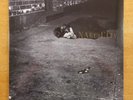 SEALED JOHN ZORN “Naked City” NEW Import LP w/ CORNER BUMP Avant Garde Free JAZZ