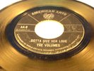 THE VOLUMES - Gotta Give Her Love / I Can't Live Without You - 1964 USA PRESSING