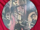 Slayer Raining Blood , Picture Vinyl LP ,