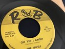 THE JEWELS Oh Yes I Know / A Fool In Paradise   RARE Doo Wop Soul R and B 1303