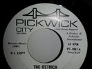 The Primitives The Ostrich / Sneaky Pete Lou Reed Pre Velvet Underground RARE