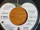 RINGO STARR -Goodnight Vienna- 1974 APPLE *PROMO* 45 + PS  THE BEATLES