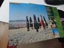 ALAN PARSONS TRY ANYTHING ONCE 1993 IN MINT ORIG. ARISTA