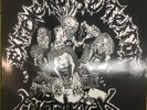 EXTREME NOISE TERROR /  FILTHKICK Split In It For Life 1999 White Vinyl VG+ LP