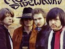MOVING SIDEWALKS-The Complete Moving Sidewalks  VINYL NEW