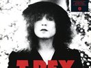 T. Rex-The Slider (Deluxe Black Vinyl) - T.Rex  VINYL NEU