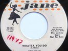 Rockabilly 45 rpm   Ray Willis on JANE   superb Rock & Roll   1958   near MINT