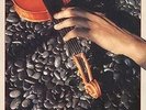 Shankar Touch Me There NEAR MINT Zappa Records Vinyl LP