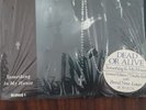 Dead or Alive - Something in My House 7