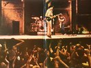 Neil Young & Crazy Horse 