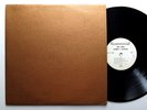 PERRY LEOPOLD experiment in metaphysics - orig '70 private acid folk psych HEAR