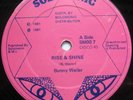 ROOTS MURDER Bunny Wailer Rise And Shine UK Solomonic 12
