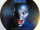 Steeler - Undercover Animal - Axel Rudi Pell -12