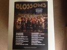 Blossoms - Rare Signed Tour Poster