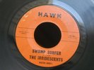 Z2 HAWK 4001 SURF GARAGE ROCK THE IRRIDESCENTS SWAMP WATER BALI HA'I