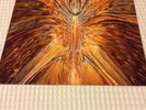 Cynic Focus LP Death Metal