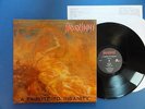 HEXENHAUS  A TRIBUTE TO INSANITY Active 88 orig LP nr MINT