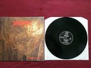 Vinyl LP - Desultory, Forever Gone   ERSTAUFLAGE