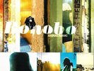BONOBO - ANIMAL MAGIC (LIMITED EDITION) - 2LP VINYL LP - NEW