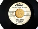 FASCINATORS - Who Do You Think You Are / Come To Paradise (Great Group Harmony)