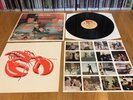 The Undertones Hypnotised LP UK80 EX+ 1st Press/Lobster Clash Buzzcocks Ramones